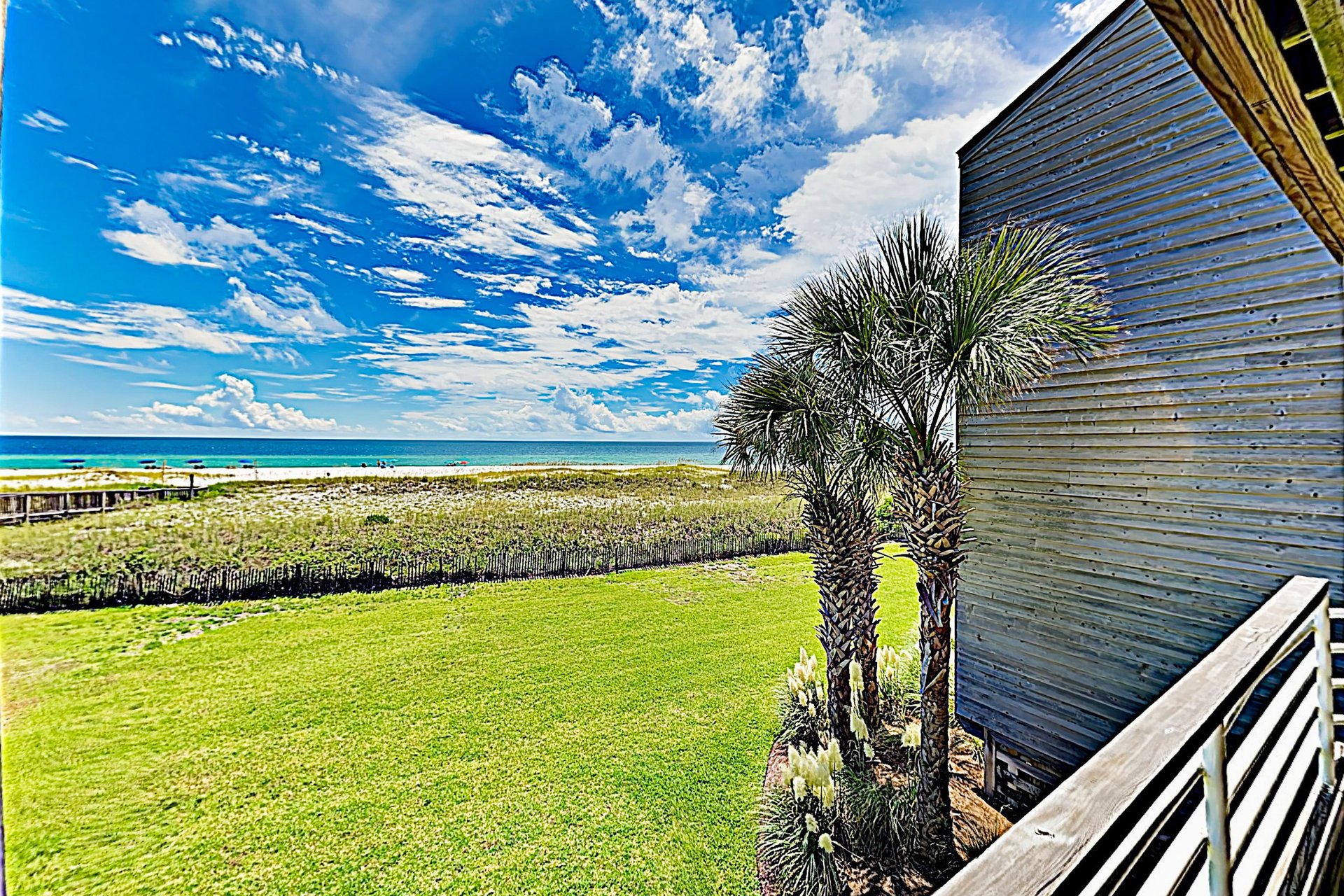 Needle Rush Point A23 16