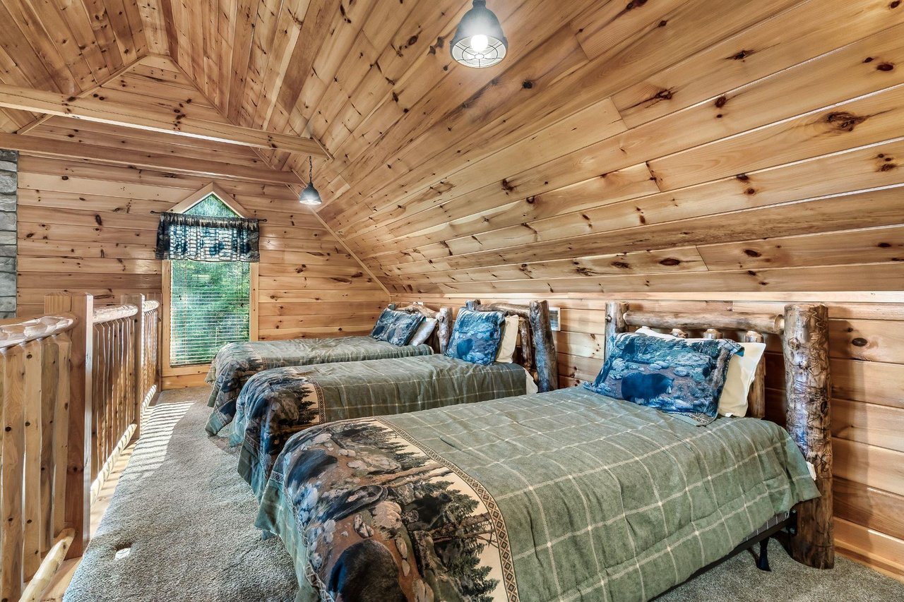 LazyBearCrossing_222723