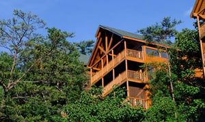 Rear Exterior