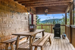 entry level porch w seating and grill