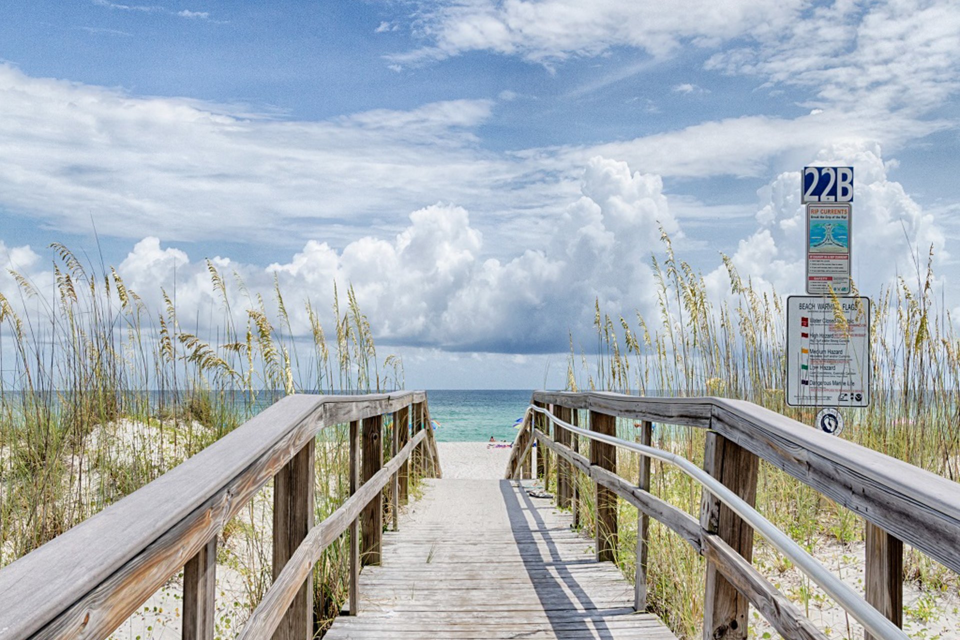 Emerald Dolphin 0620 22