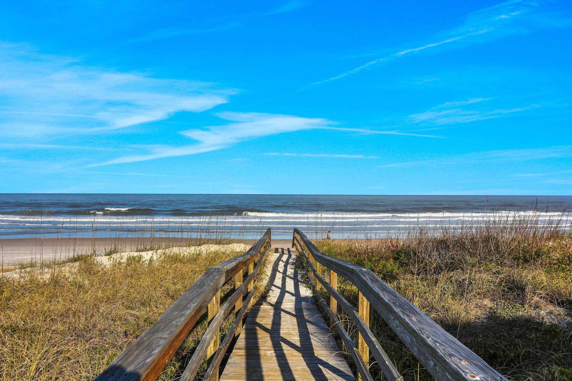 Palmetto Paradise  A 49