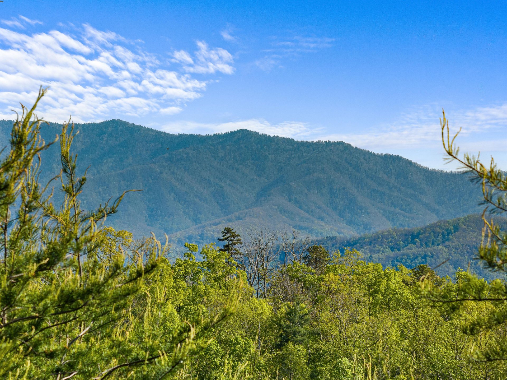 View from Mountain Bliss cabin