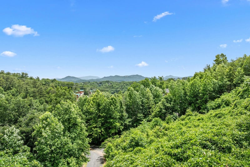 blue sky view