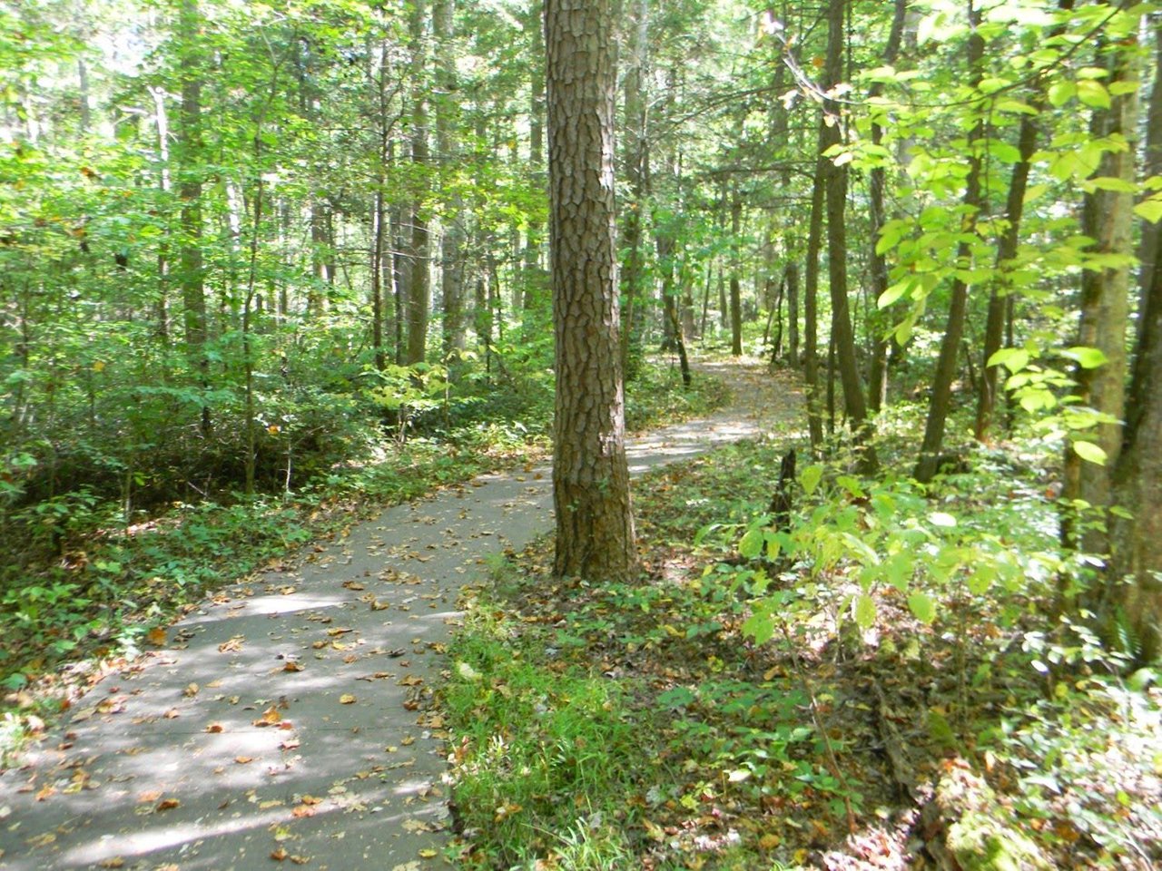 Width1280