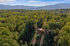 otterbeswimmingfall10