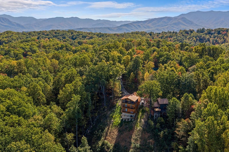 otterbeswimmingfall10