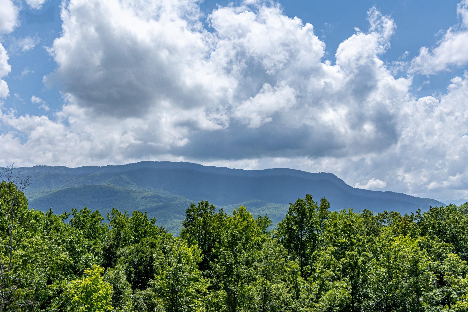 Mountain view from Twin Peaks cabin