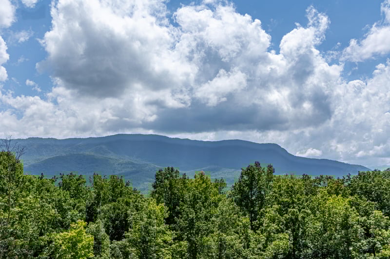 Mountain view from Twin Peaks cabin