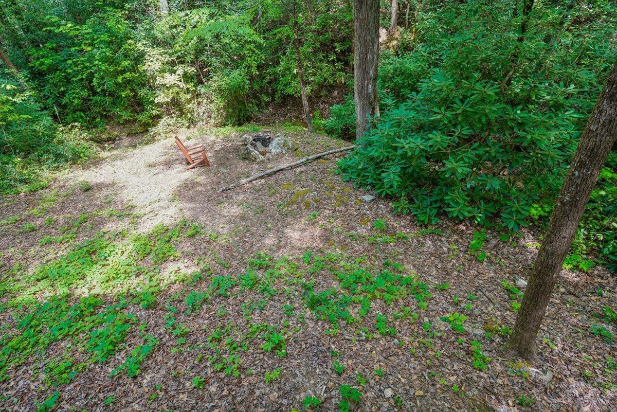 24Back Yard