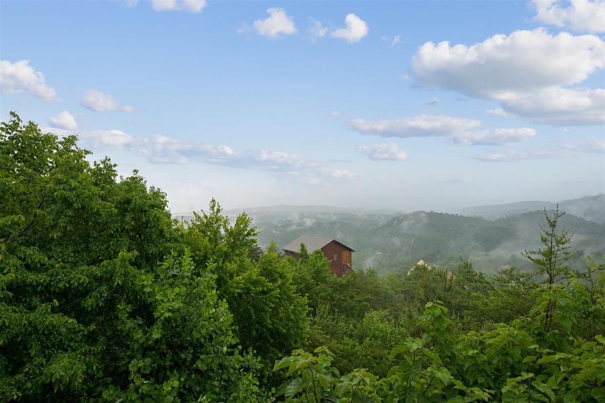 067View
