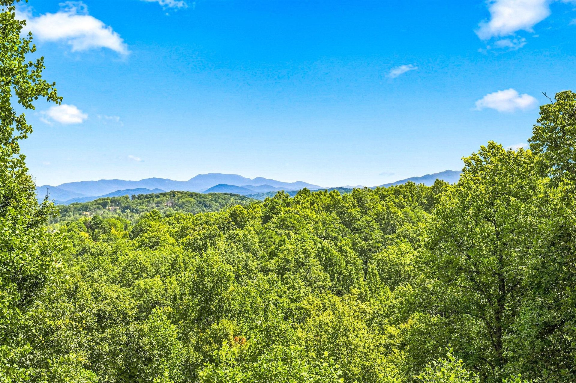 Breathtaking mountain vistas frame lush forest canopy under bright blue skies—a stunning natural backdrop for your mountain getaway.
