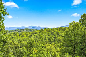 Breathtaking mountain vistas frame lush forest canopy under bright blue skies—a stunning natural backdrop for your mountain getaway.