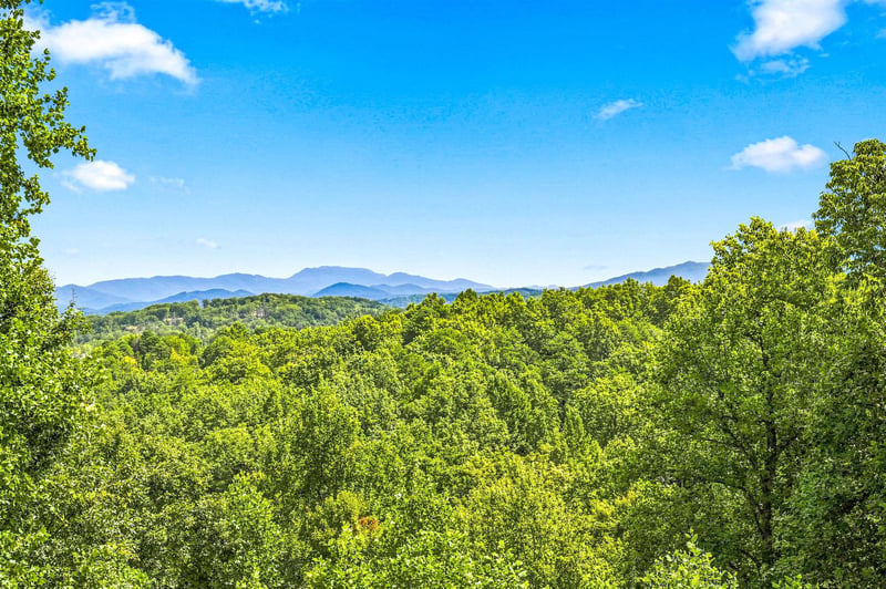 Breathtaking mountain vistas frame lush forest canopy under bright blue skies—a stunning natural backdrop for your mountain getaway.