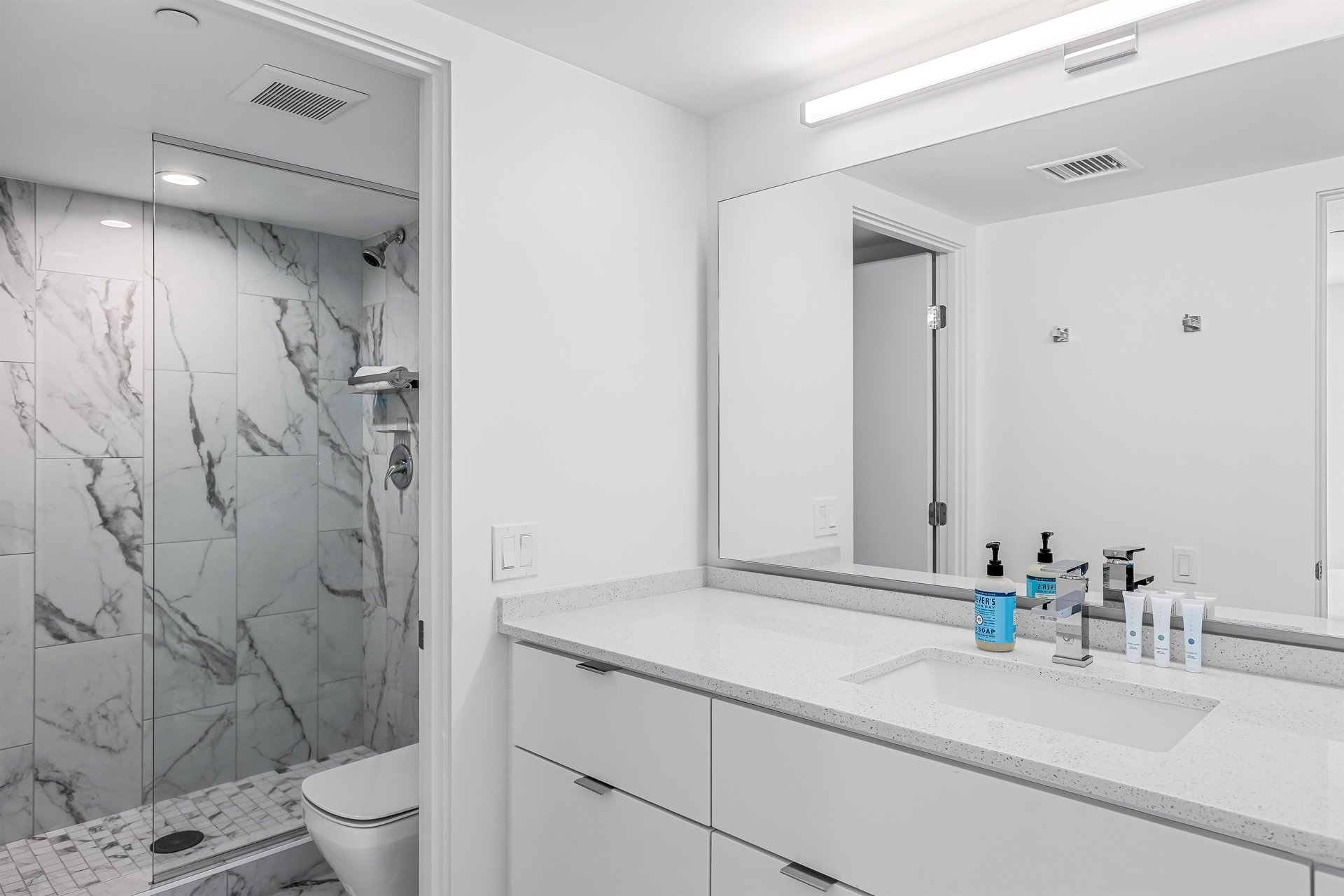 Guest bathroom