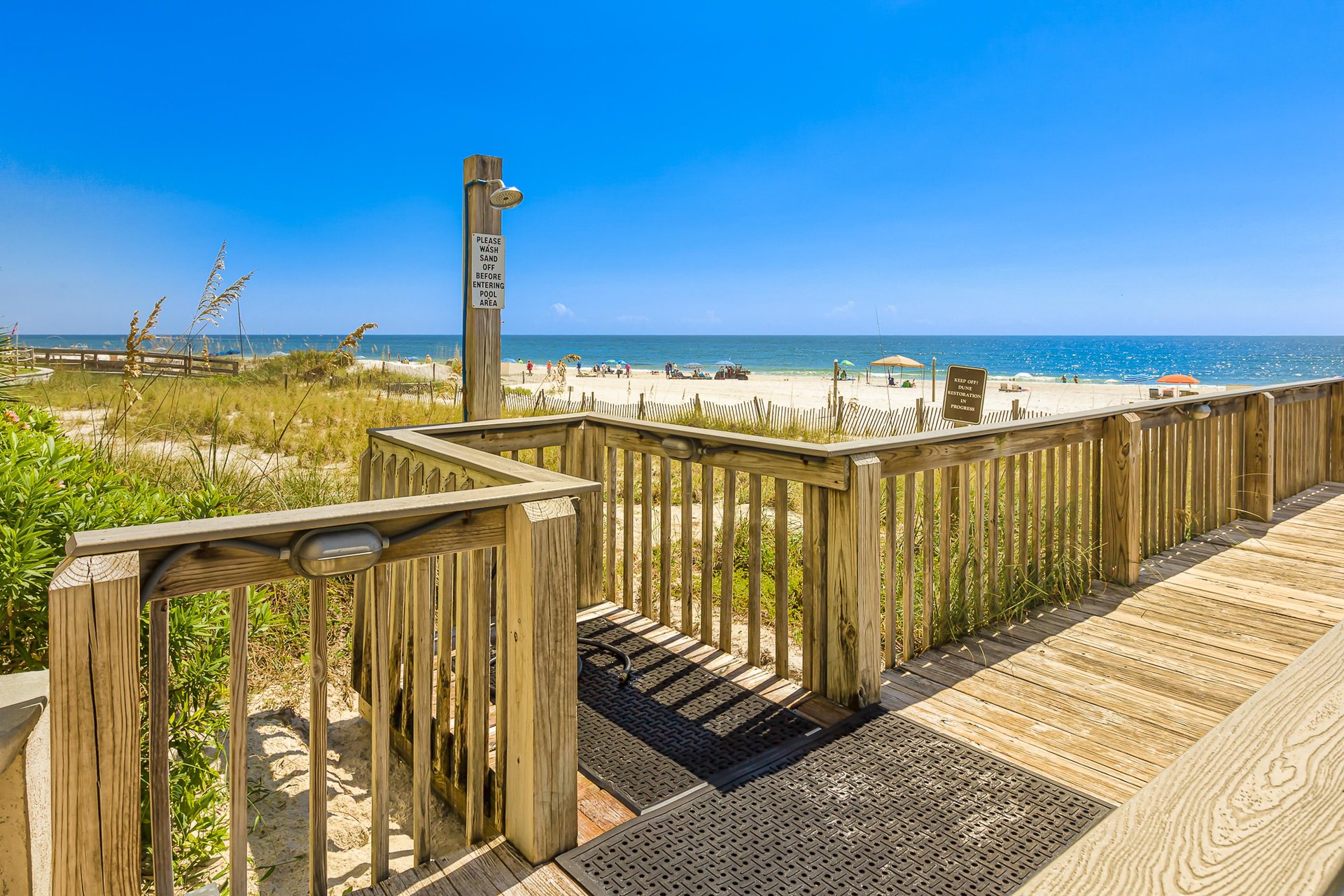 4378061.jpg
