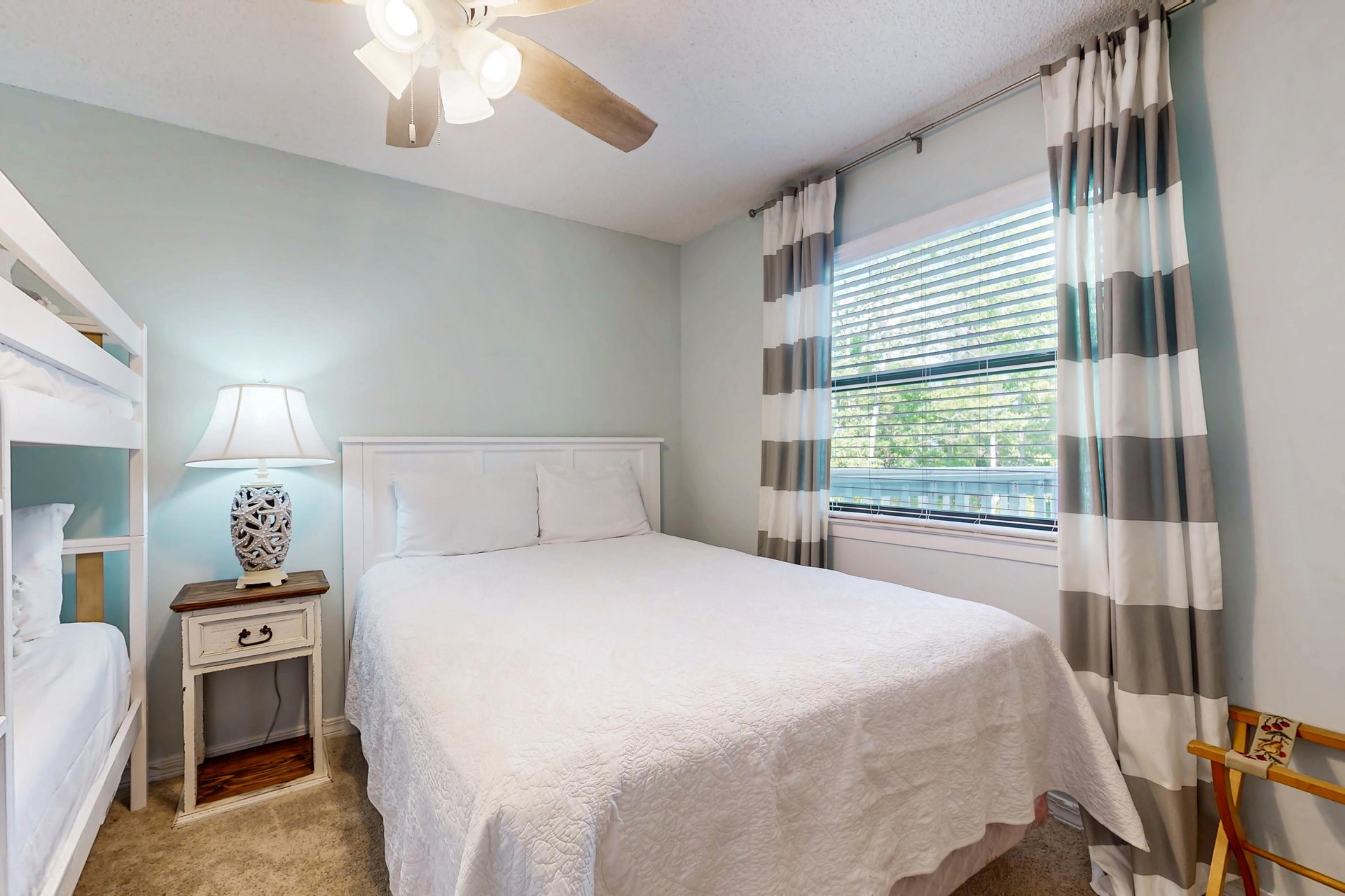 6376903.jpg