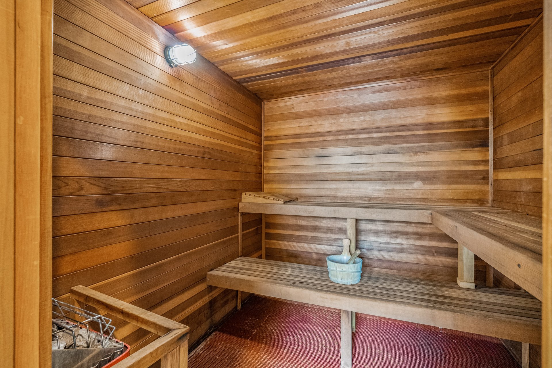 Mandevilla at Martinique 45