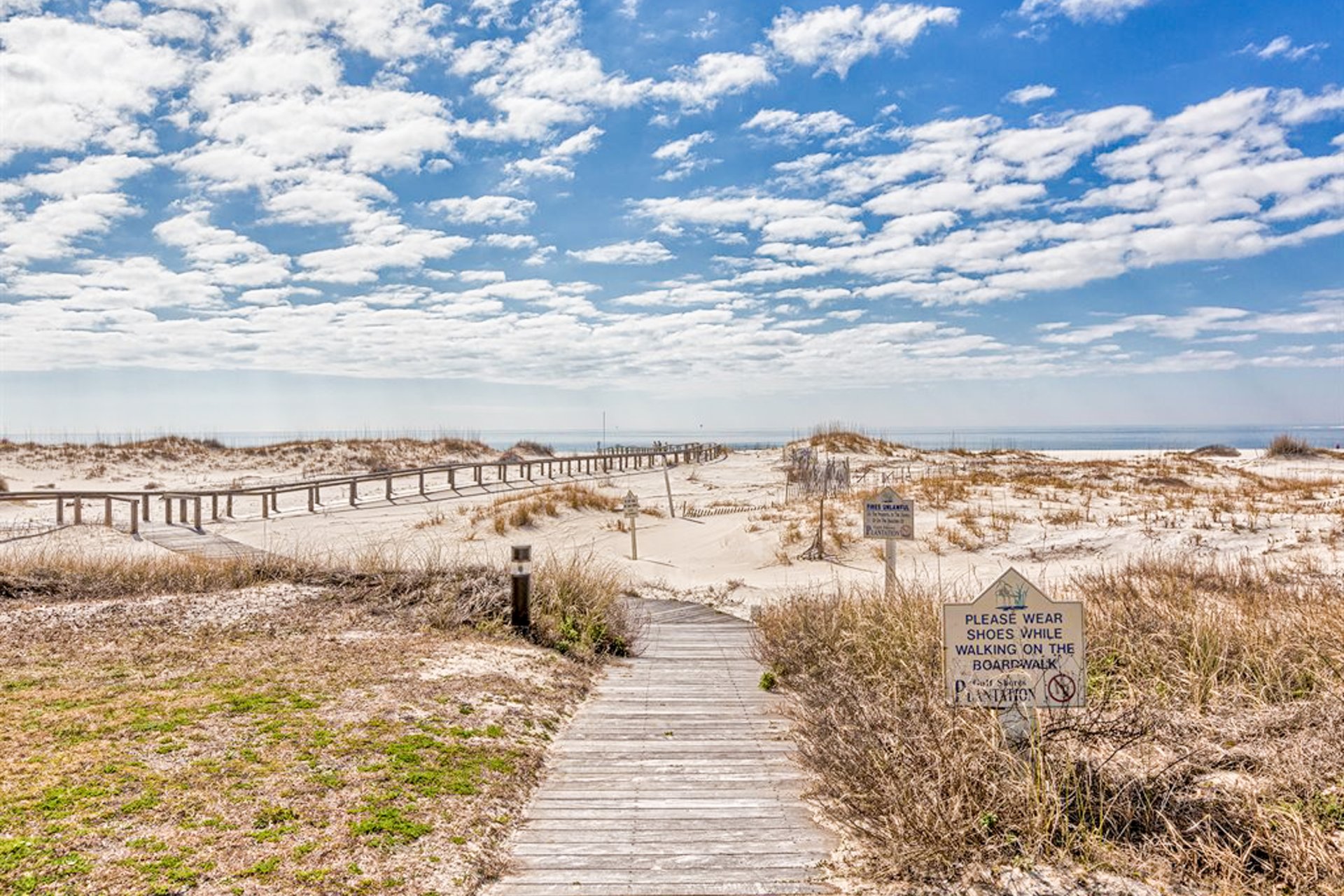 Plantation Palms 6302 31