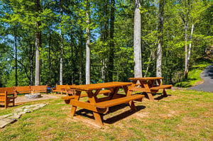 Wooden picnic tables nestled among towering trees create the perfect forest retreat for outdoor dining and relaxation.