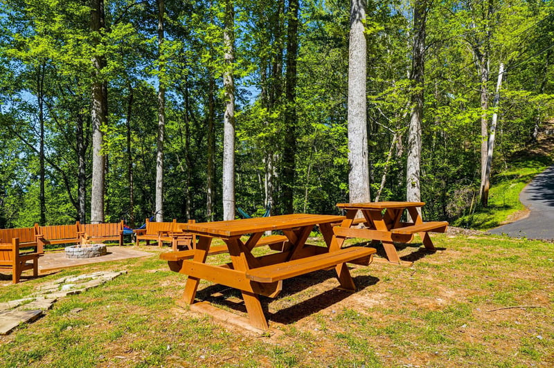 Wooden picnic tables nestled among towering trees create the perfect forest retreat for outdoor dining and relaxation.