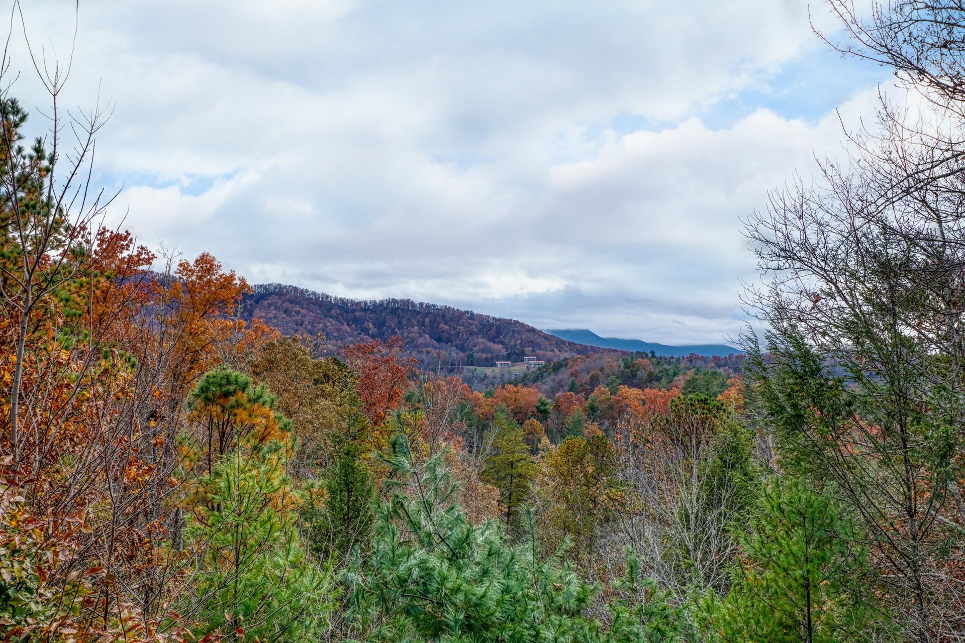 Fall colors on the Smoky Mountains at Enchanted Evening, a 1bedroom cabin rental located in Pigeon Forge