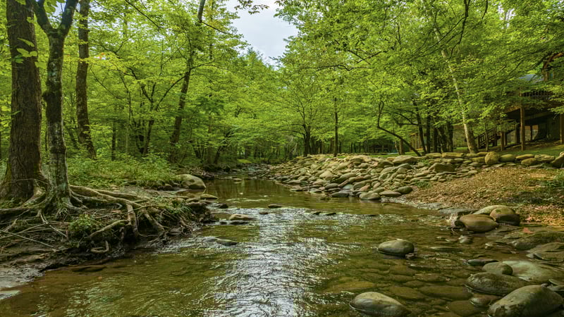 River