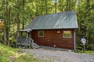 This cozy cabin nestled among towering trees offers a peaceful retreat surrounded by natures beauty and tranquility.