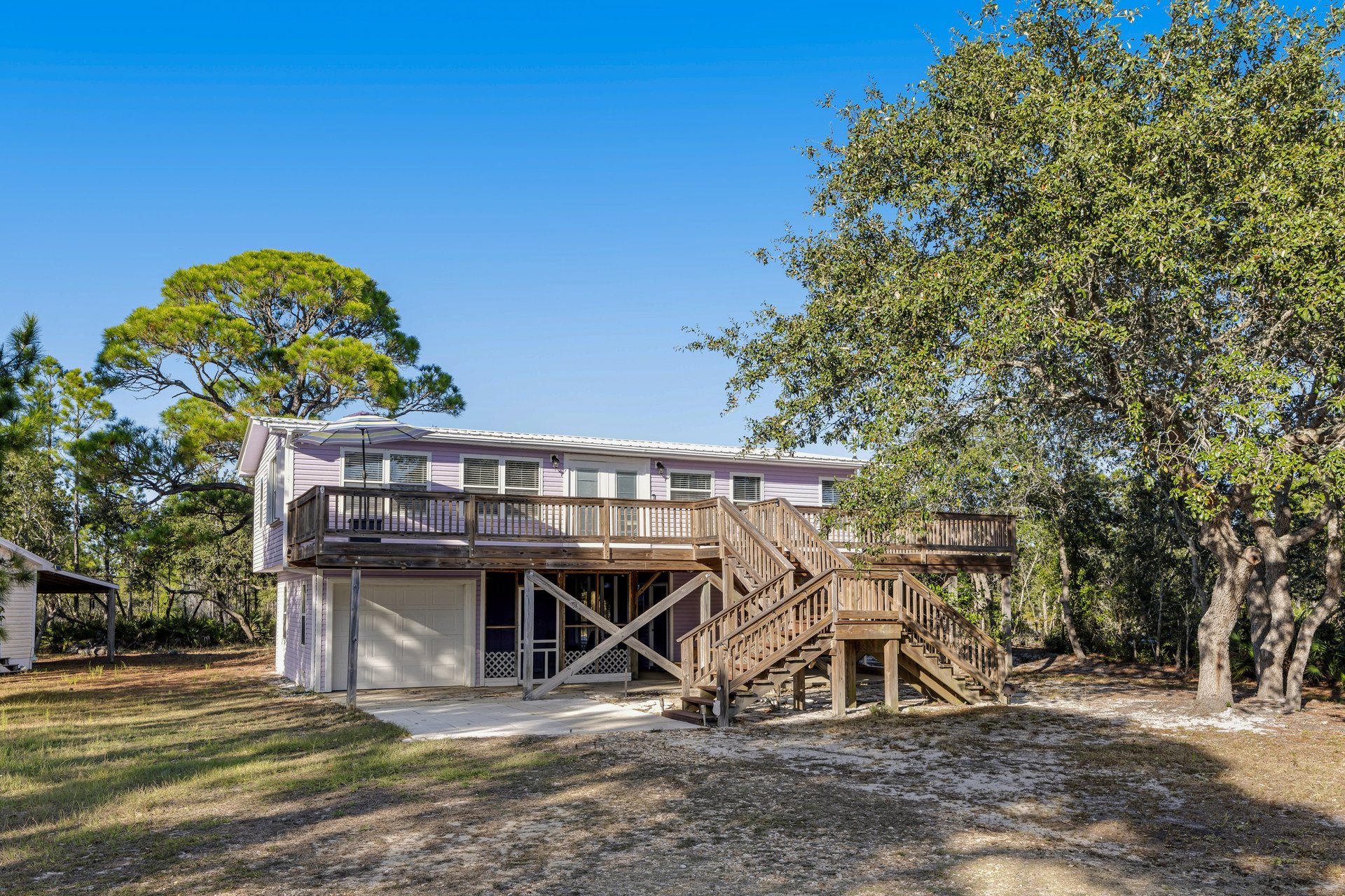 The Purple Palmetto 1