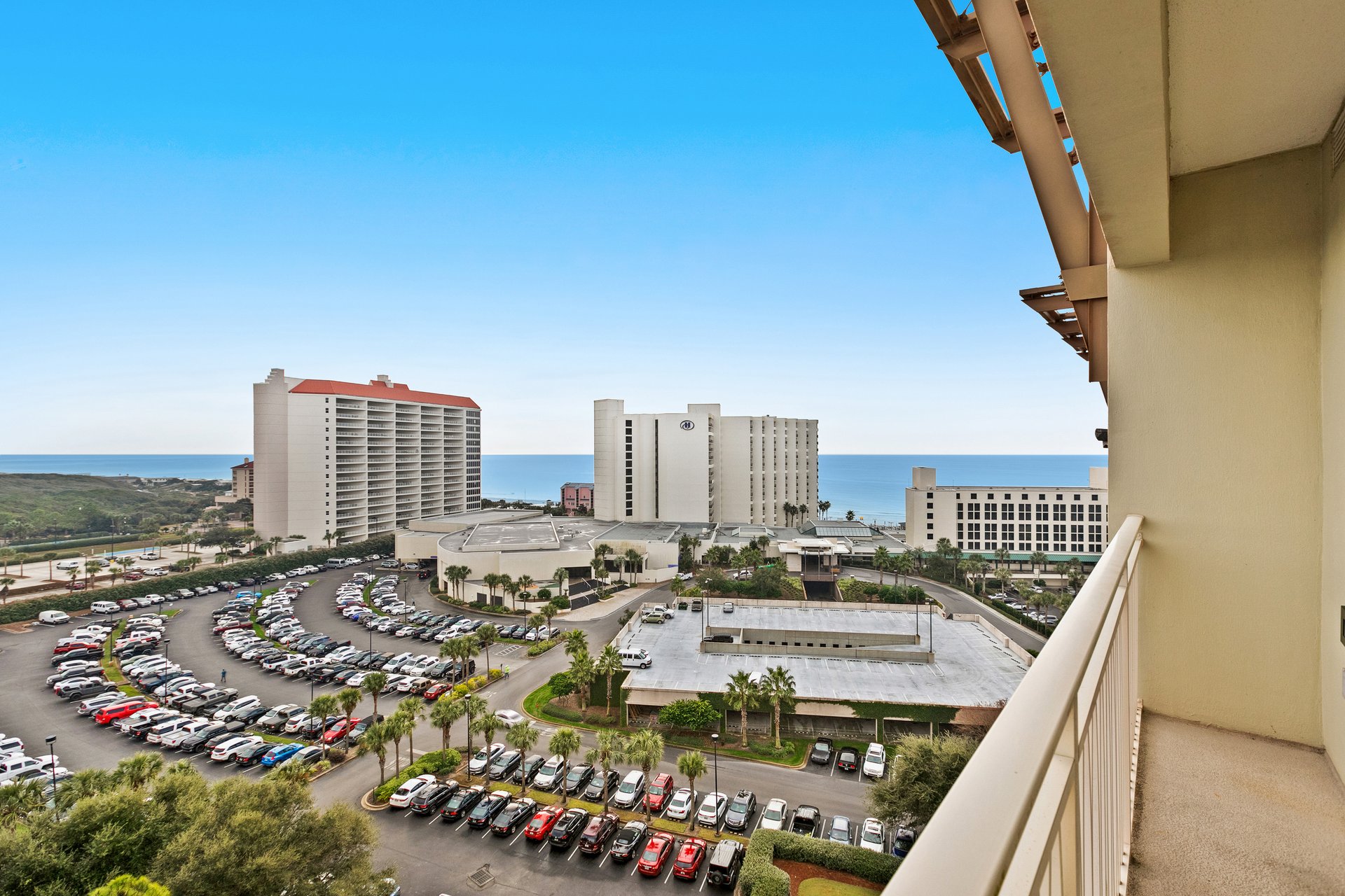 Luau 6925  Eastern Sky 15