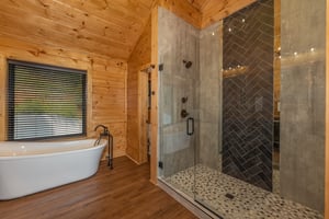 Bathroom with a soaker tub and walk in shower