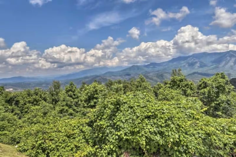 Aerial Property View