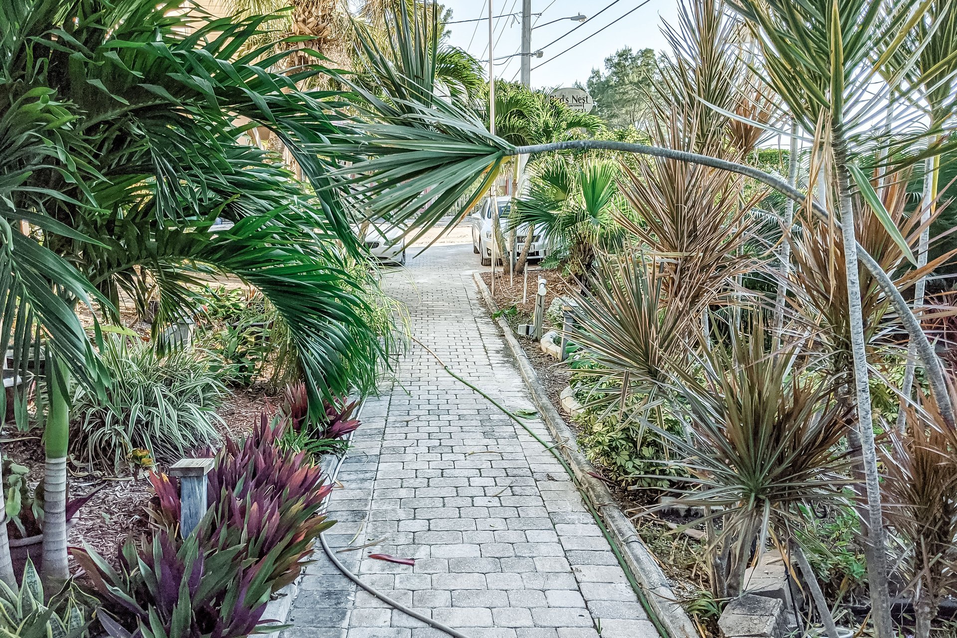 Birds Nest Unit B 28