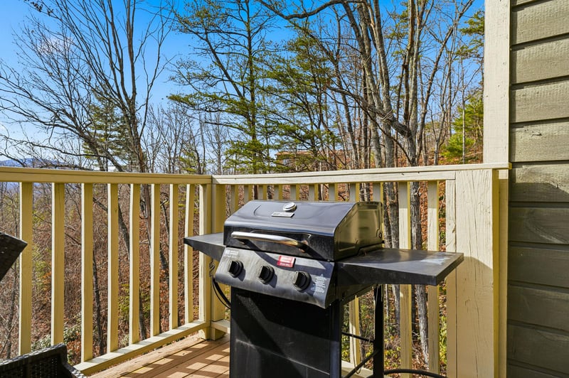 Fire up your private grill on this peaceful deck and savor outdoor cooking surrounded by natures quiet beauty.