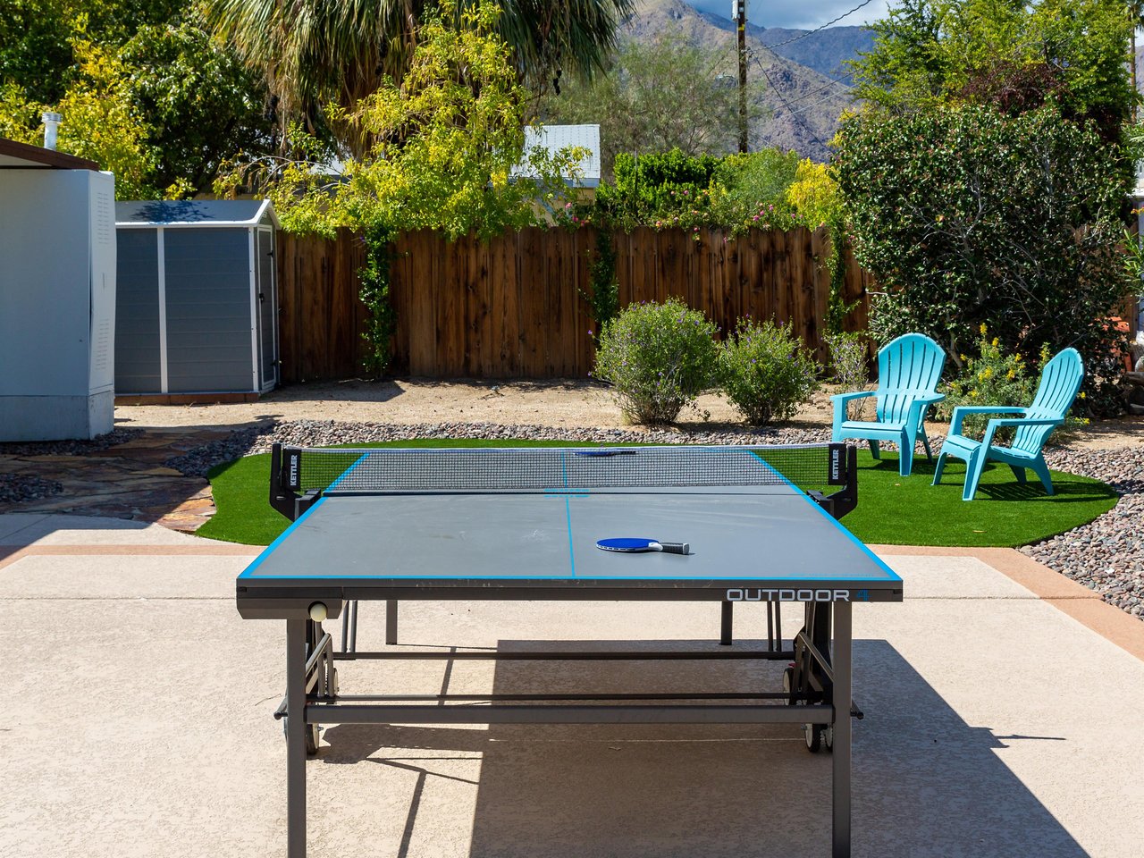 Ping pong anyone