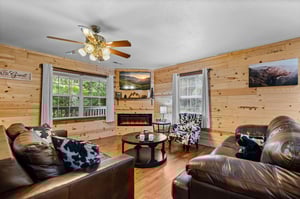 Living room with fireplace