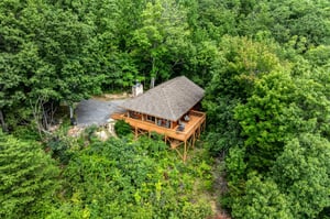 dancinginthemoonlight38