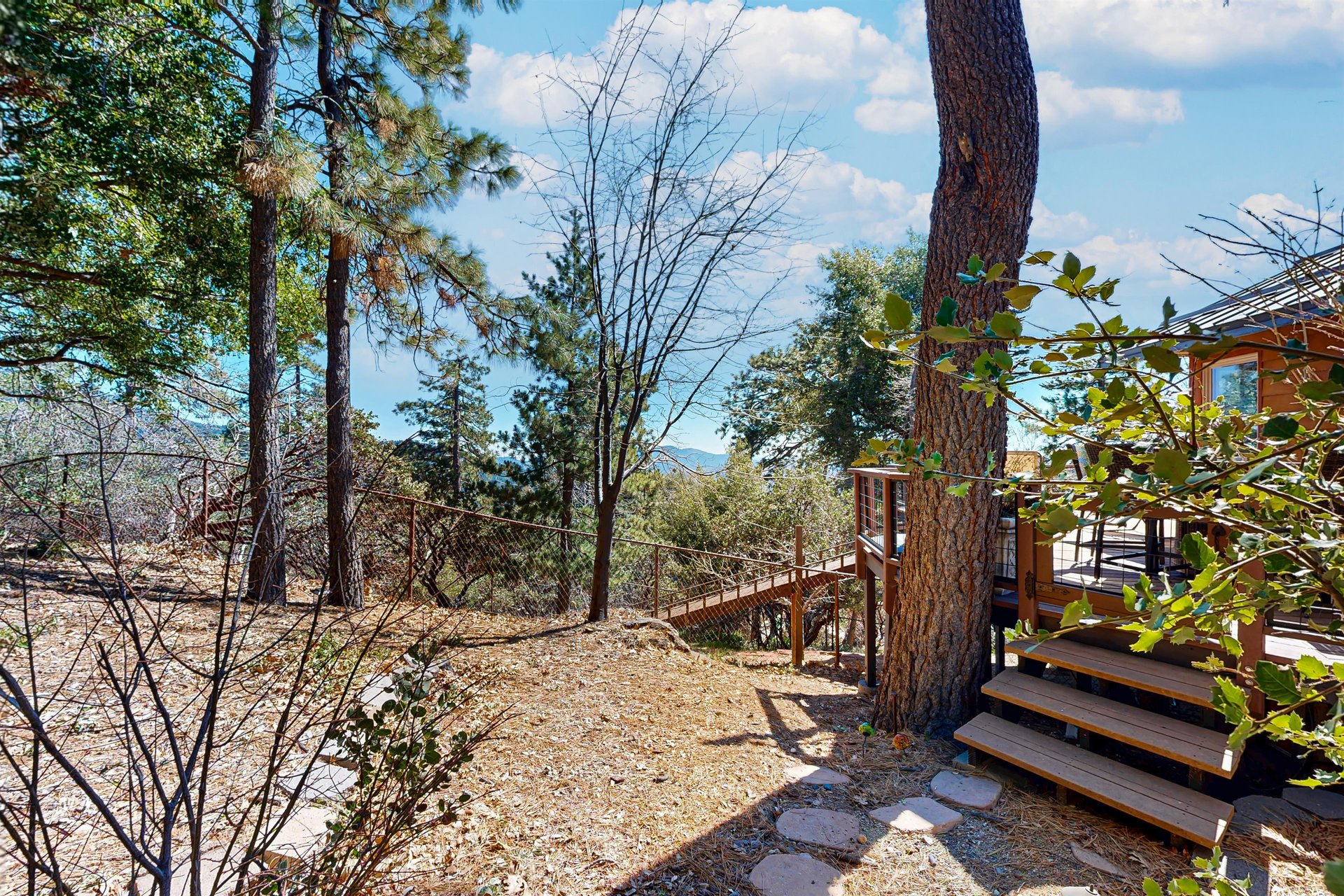 Steps leading to back deck and dog run area.