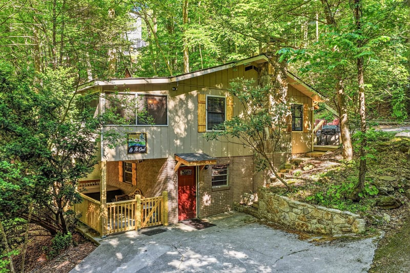 A charming woodland retreat nestled among towering trees offers a peaceful escape surrounded by nature.