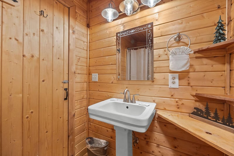 Single vanity sink
