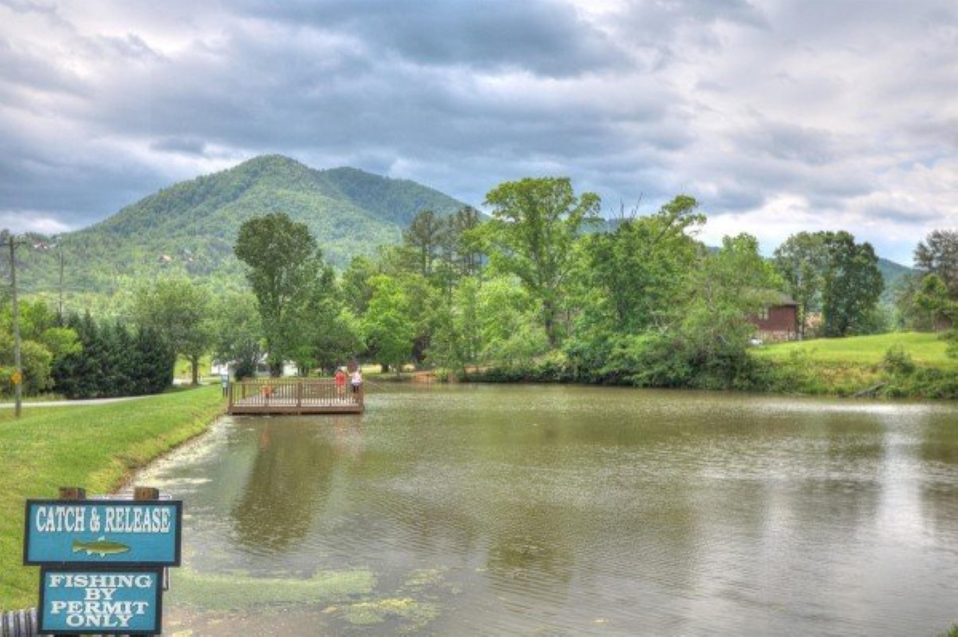 A serene mountain property features private fishing access on a stocked pond, surrounded by lush trees and spectacular Blue Ridge mountain views.