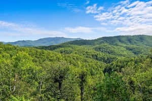 View from Bear Sunrise