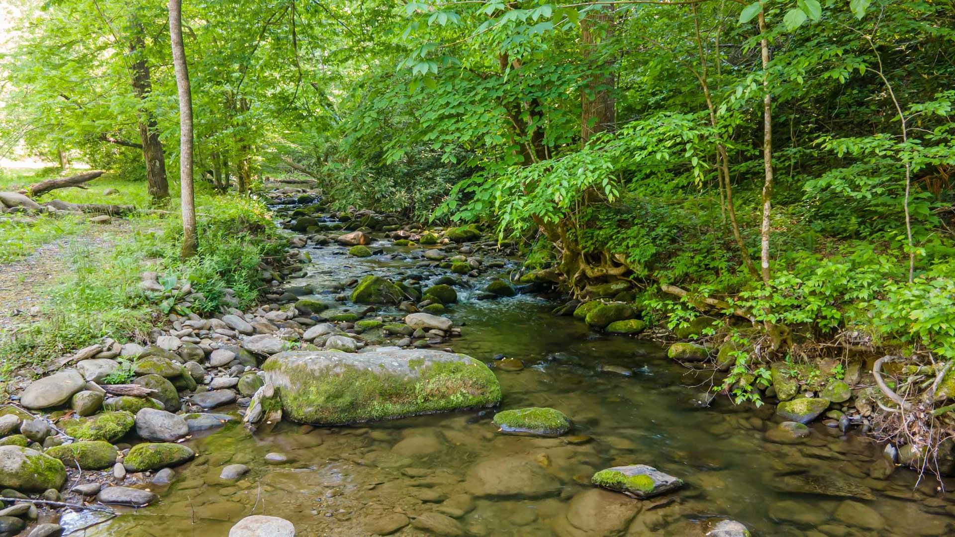 Creek