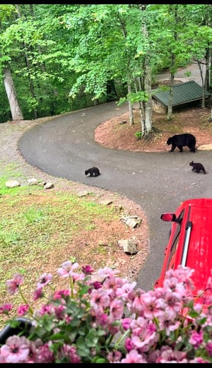 Parking area in front of the cabin.