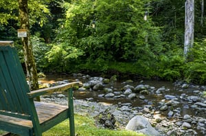 A tranquil creekside retreat where a lush forest meets a gentle stream. Perfect for nature lovers seeking peaceful surroundings and outdoor relaxation.