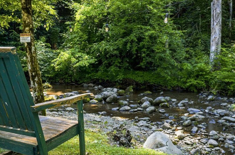 A tranquil creekside retreat where a lush forest meets a gentle stream. Perfect for nature lovers seeking peaceful surroundings and outdoor relaxation.