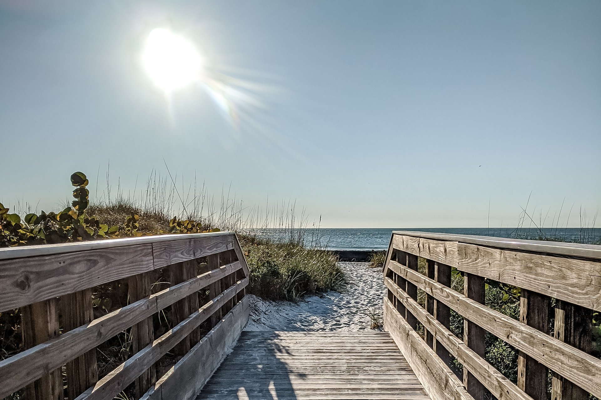 Birds Nest Unit B 29