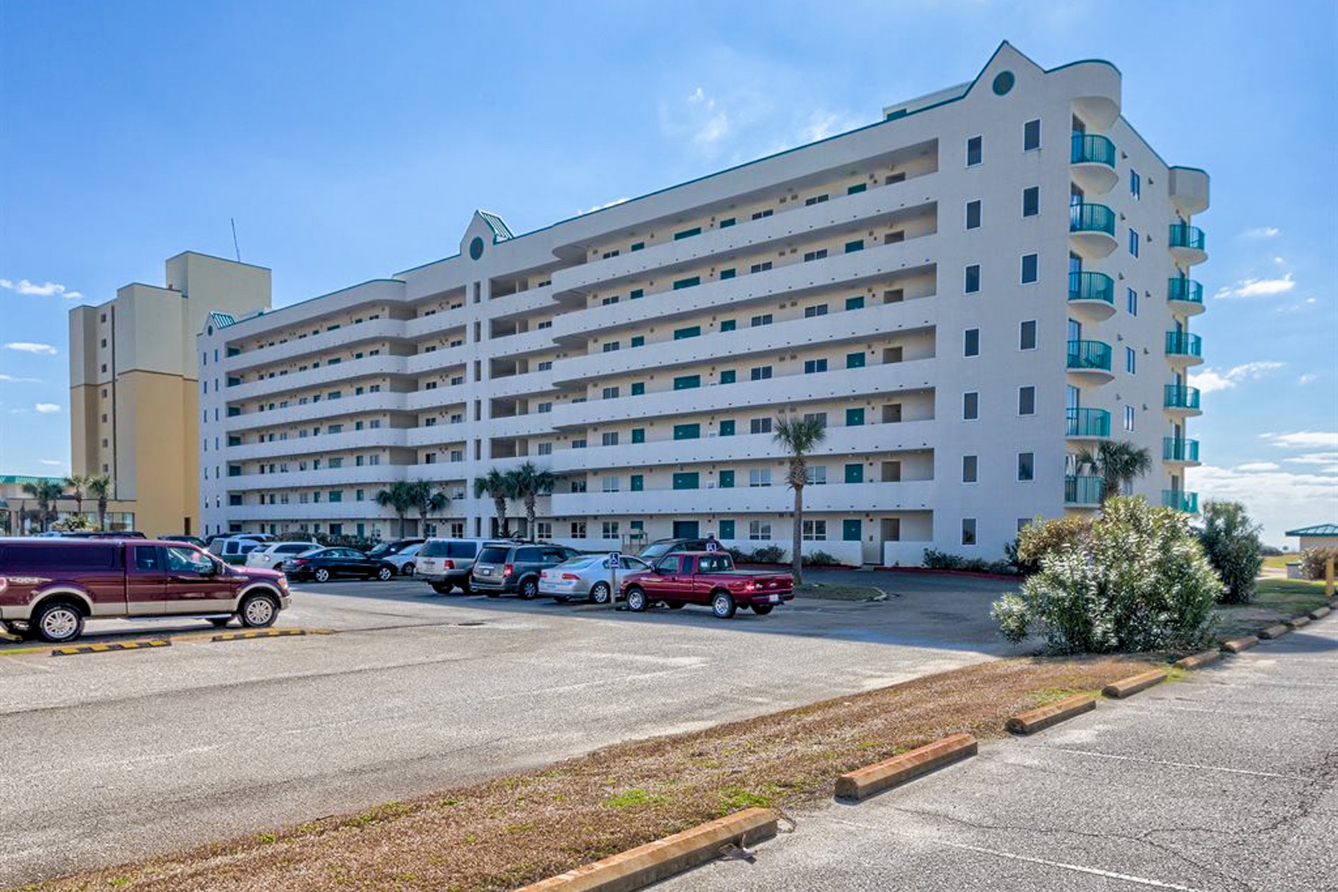 Plantation Palms 6302 36