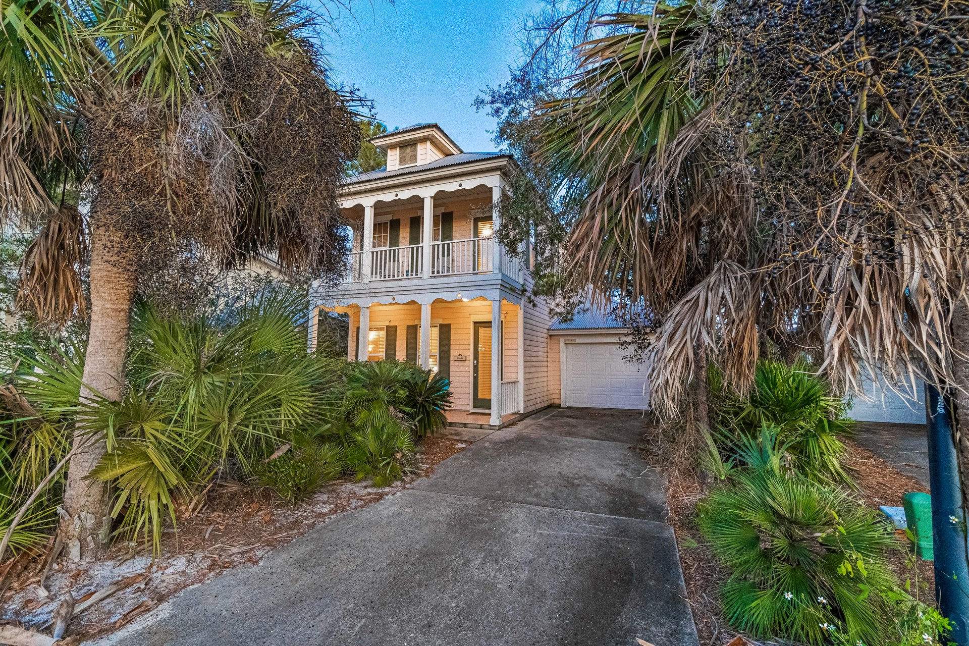 Mandevilla at Martinique 1