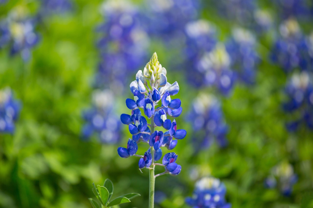 shutterstock_2055975758